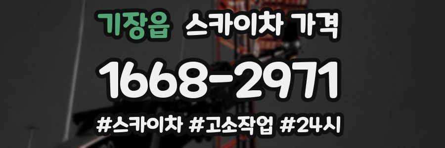 기장읍 스카이차 가격