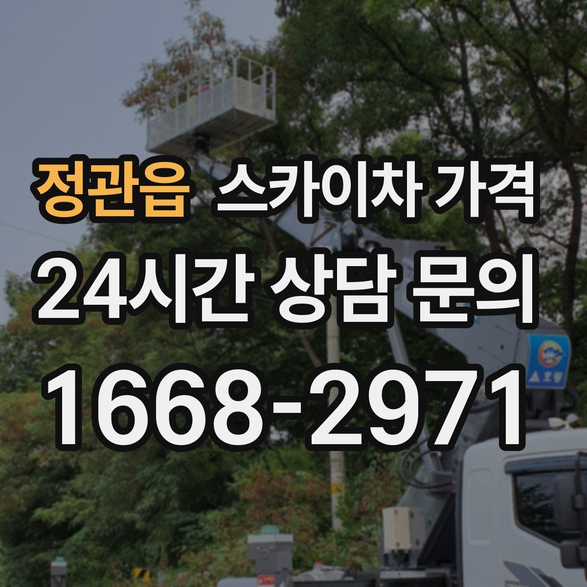 정관읍 스카이차 가격 시즌 장식 설치는 주간/야간 작업 시간이 길어지는 이유