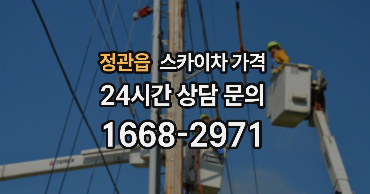 정관읍 스카이차 가격