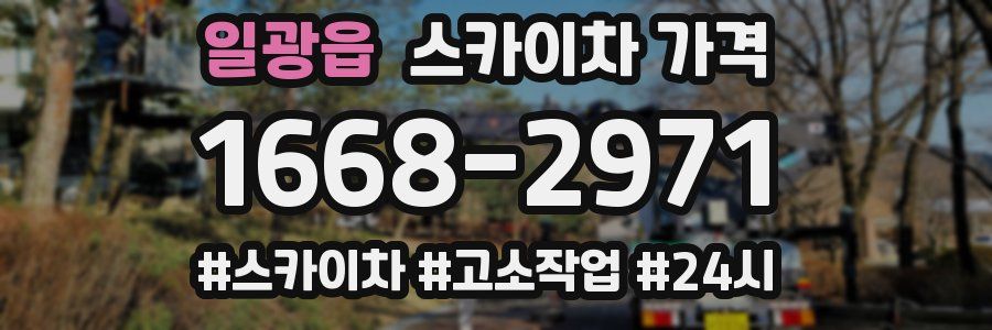 일광읍 스카이차 가격