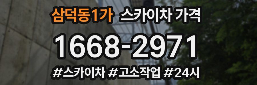 삼덕동1가 스카이차 가격