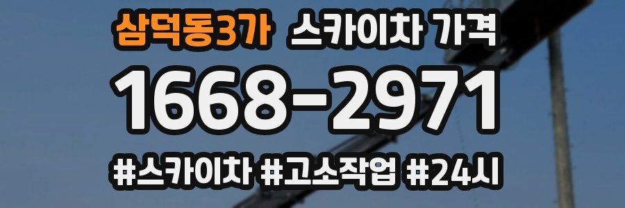 삼덕동3가 스카이차 가격