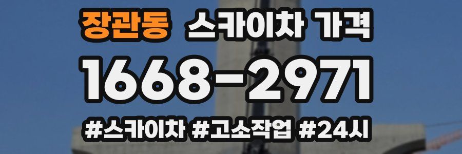 장관동 스카이차 가격