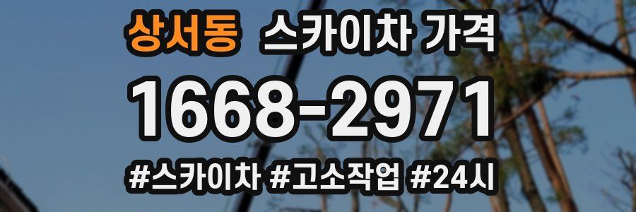 상서동 스카이차 가격