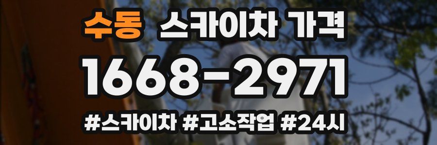 수동 스카이차 가격