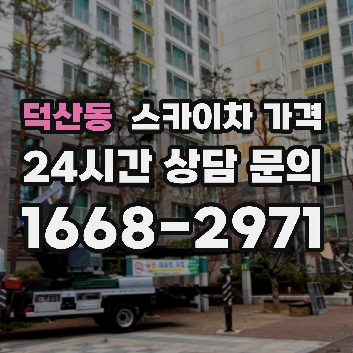 덕산동 스카이차 가격