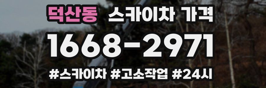 덕산동 스카이차 가격