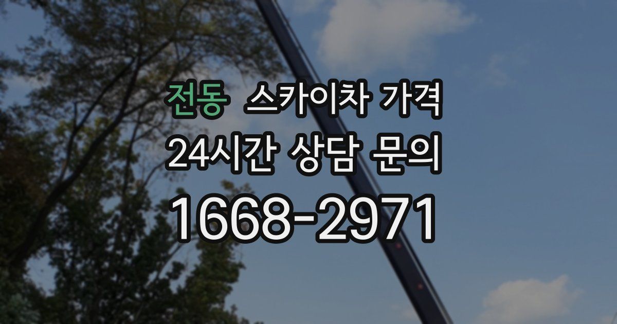 전동 스카이차 가격