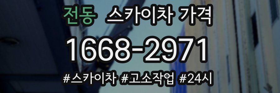 전동 스카이차 가격