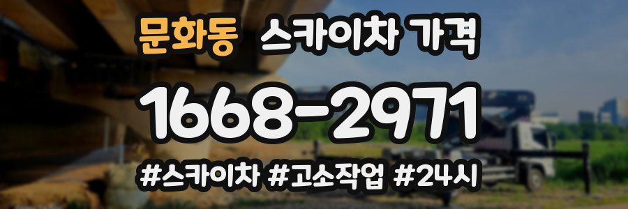 문화동 스카이차 가격