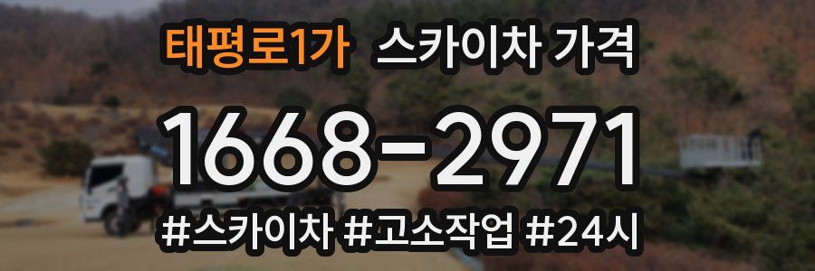 태평로1가 스카이차 가격