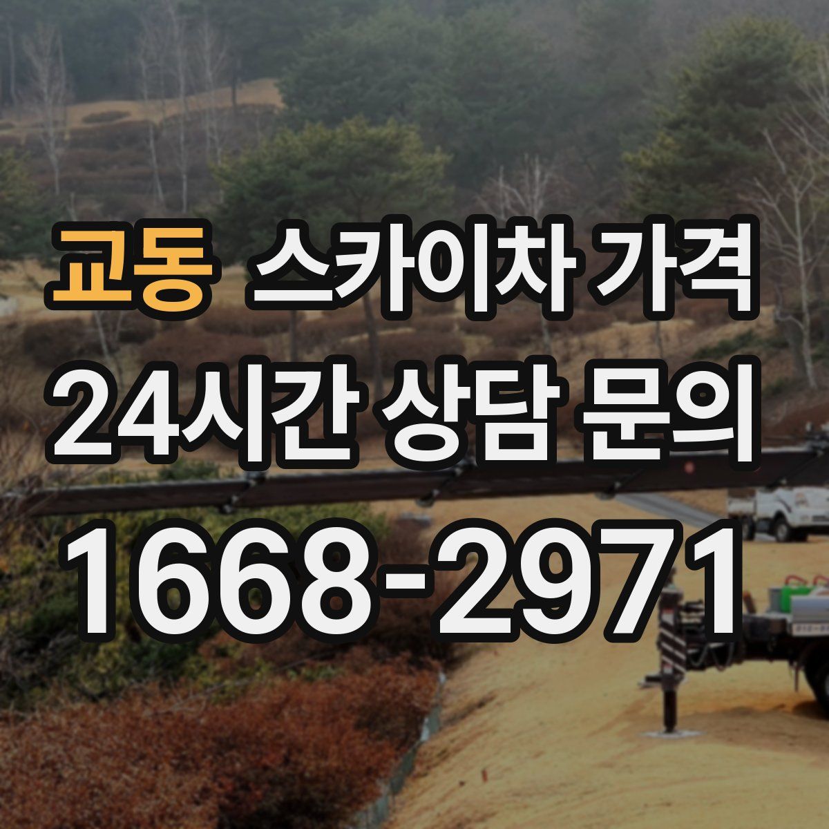 교동 스카이차 가격