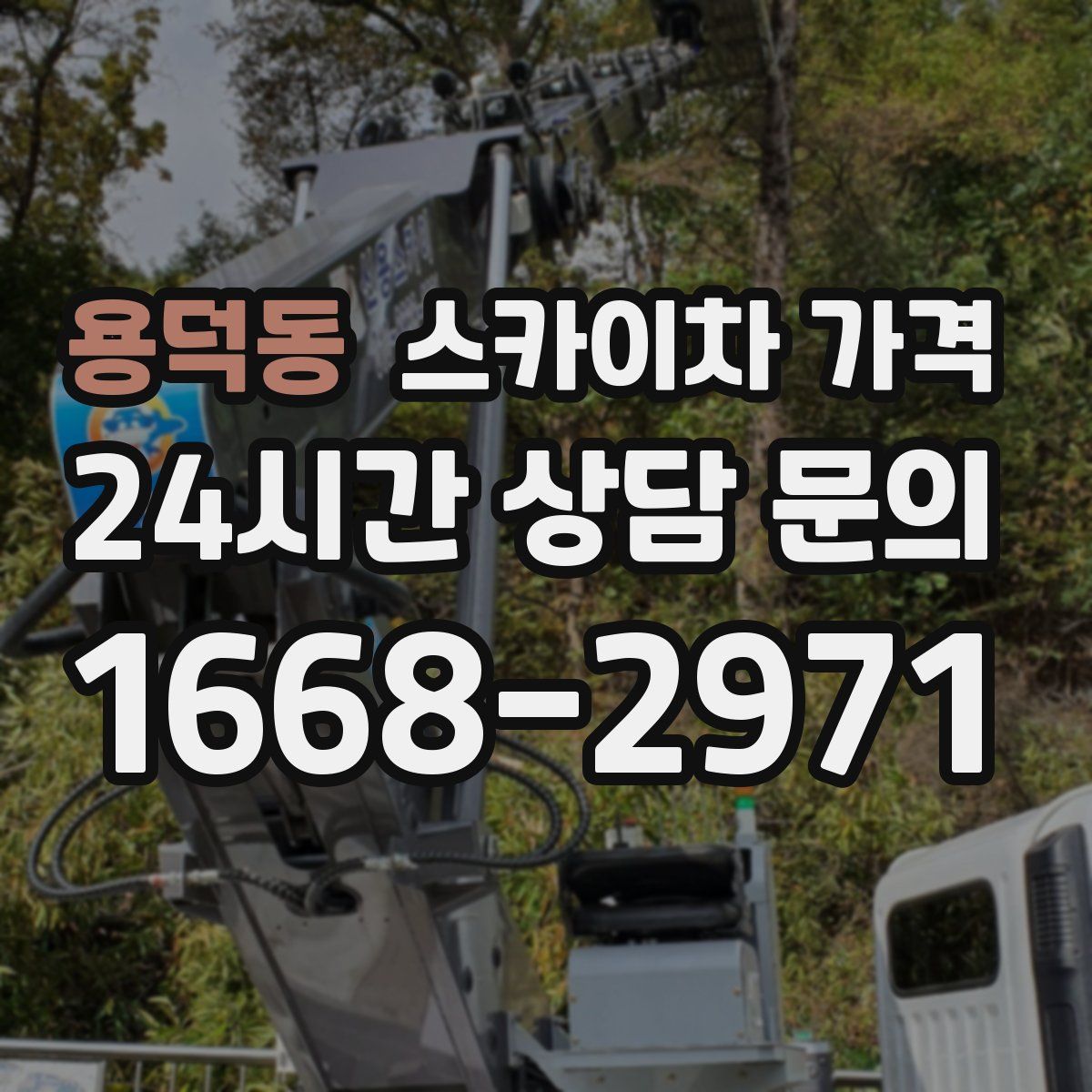 용덕동 스카이차 가격