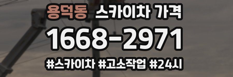 용덕동 스카이차 가격