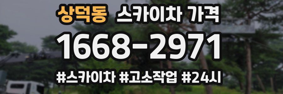 상덕동 스카이차 가격