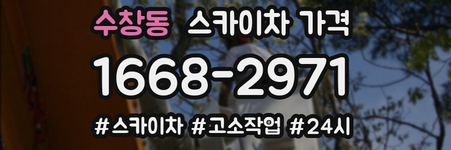 수창동 스카이차 가격