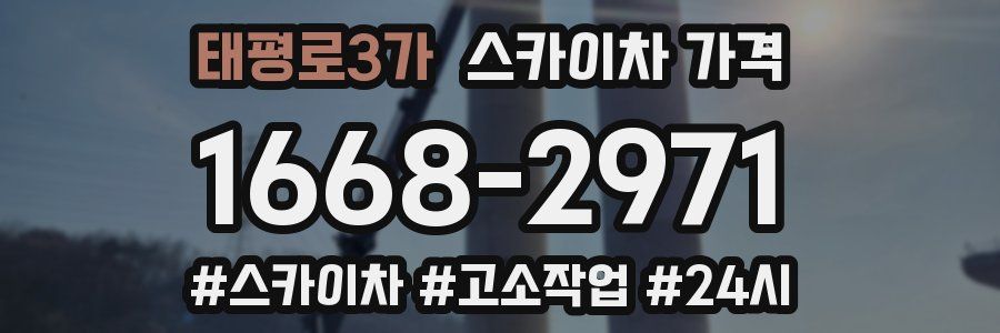 태평로3가 스카이차 가격
