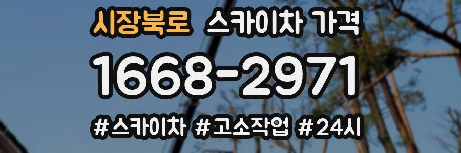 시장북로 스카이차 가격