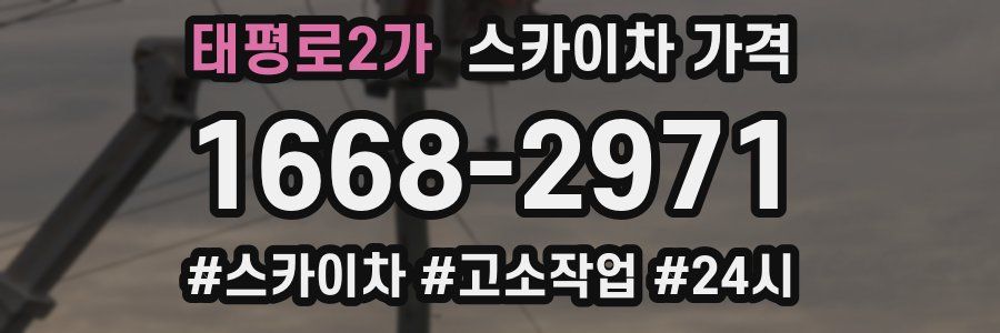 태평로2가 스카이차 가격