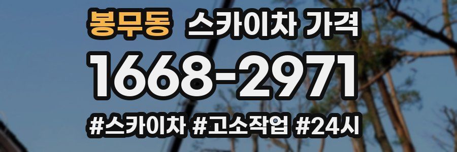 봉무동 스카이차 가격