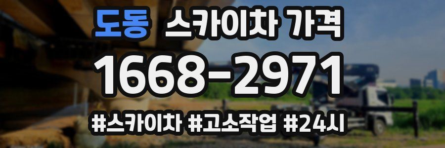 도동 스카이차 가격