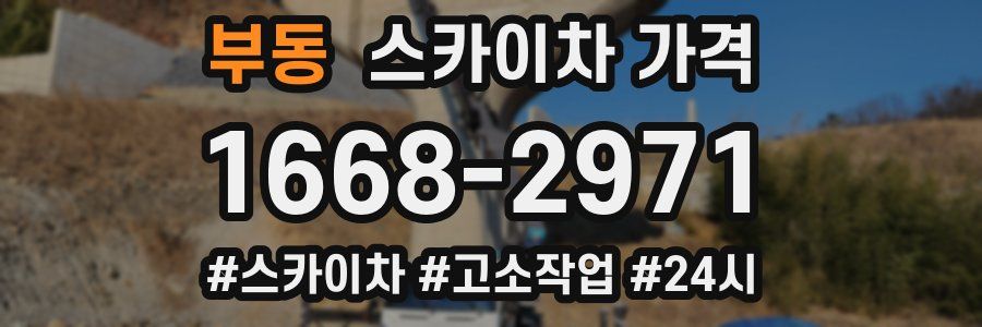 부동 스카이차 가격