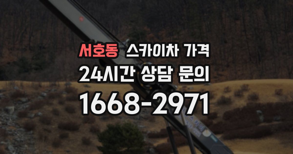 서호동 스카이차 가격