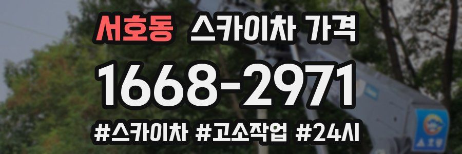 서호동 스카이차 가격