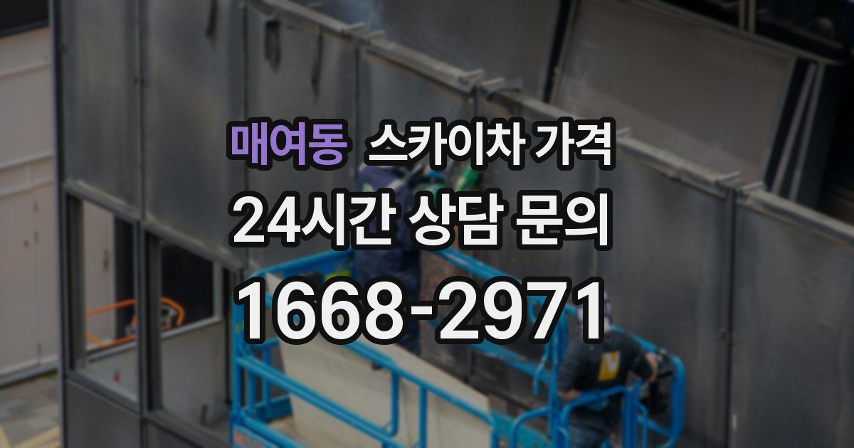 매여동 스카이차 가격