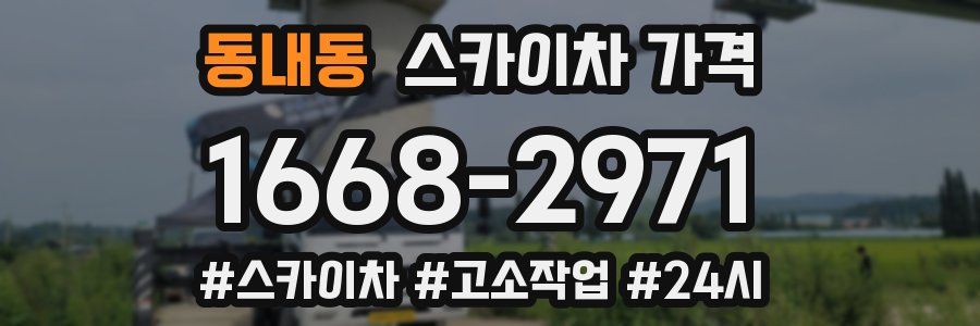 동내동 스카이차 가격
