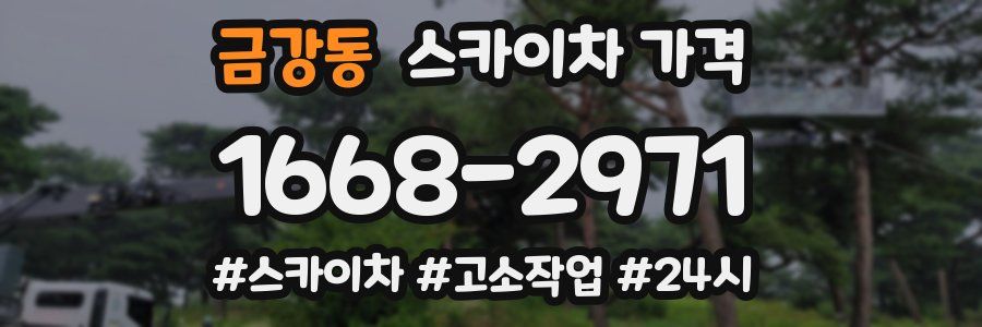 금강동 스카이차 가격