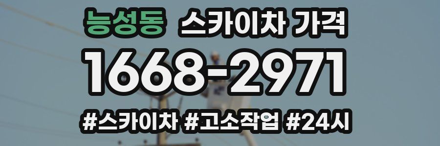 능성동 스카이차 가격