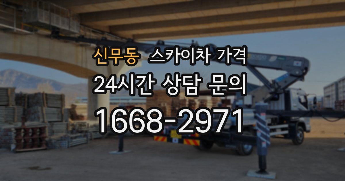 신무동 스카이차 가격