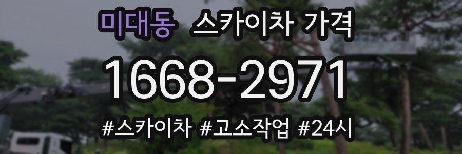 미대동 스카이차 가격