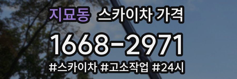 지묘동 스카이차 가격