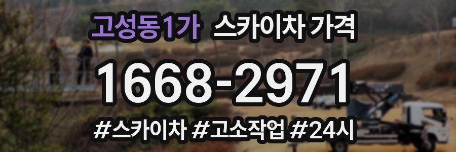 고성동1가 스카이차 가격