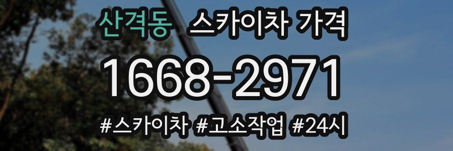 산격동 스카이차 가격