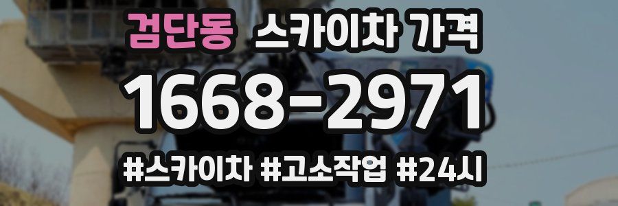 검단동 스카이차 가격