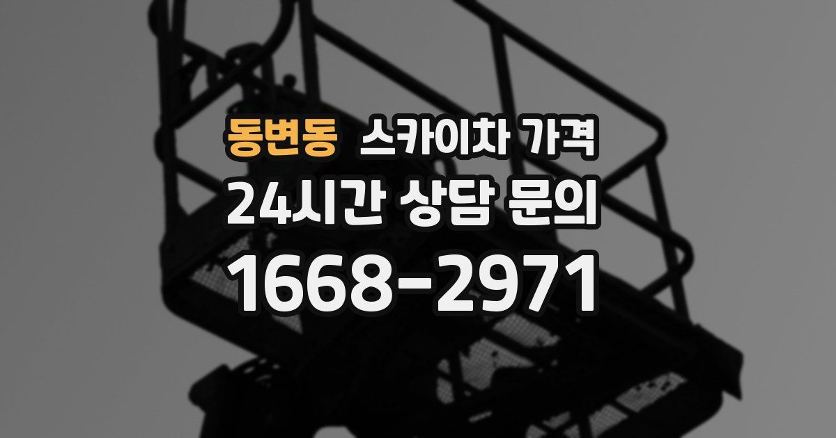 동변동 스카이차 가격