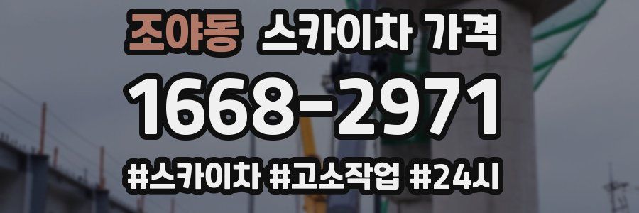 조야동 스카이차 가격