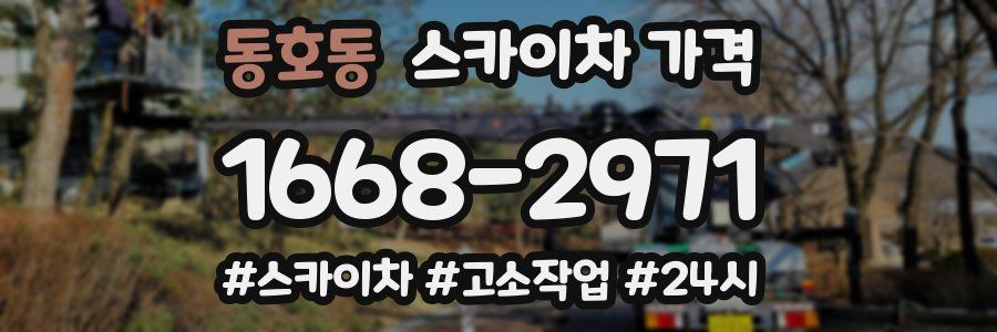 동호동 스카이차 가격
