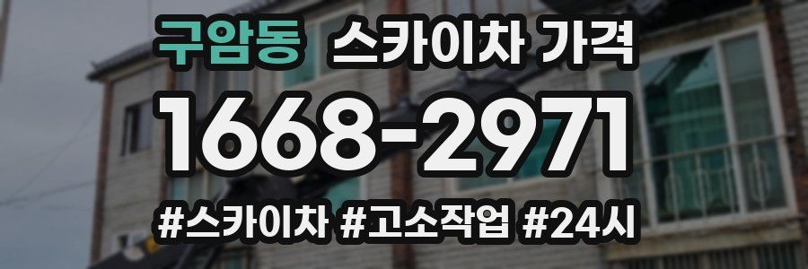 구암동 스카이차 가격