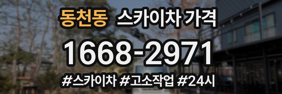 동천동 스카이차 가격