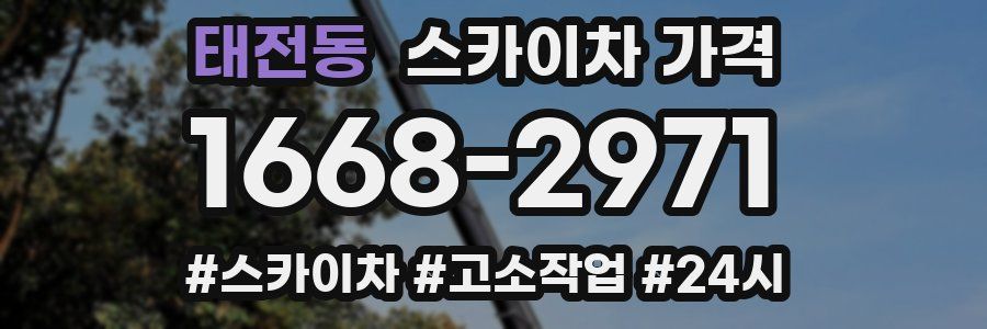 태전동 스카이차 가격