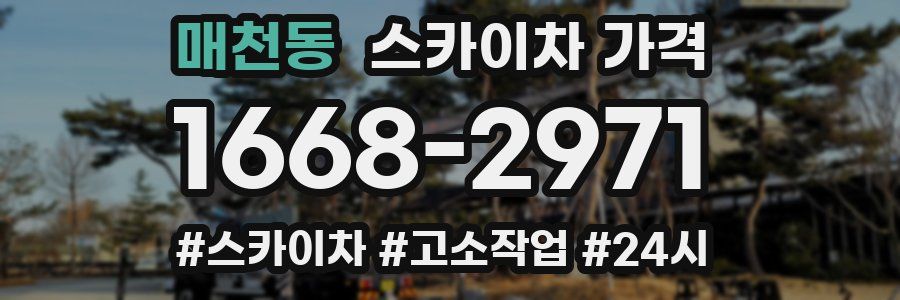 매천동 스카이차 가격