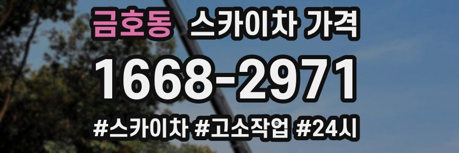 금호동 스카이차 가격