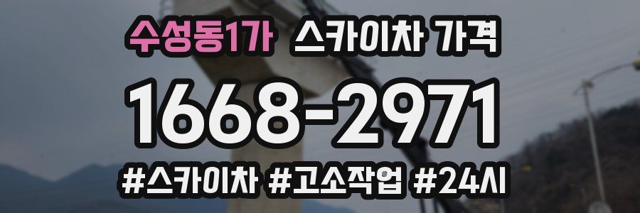 수성동1가 스카이차 가격