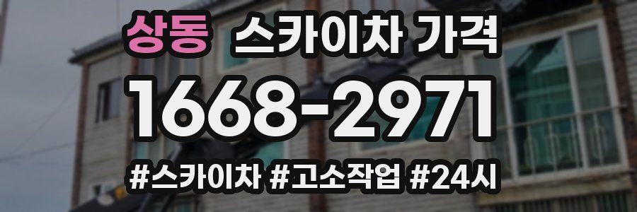 상동 스카이차 가격