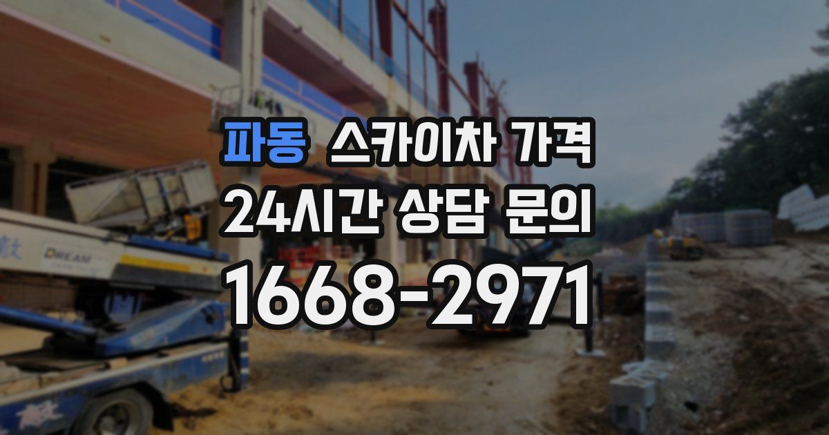 파동 스카이차 가격