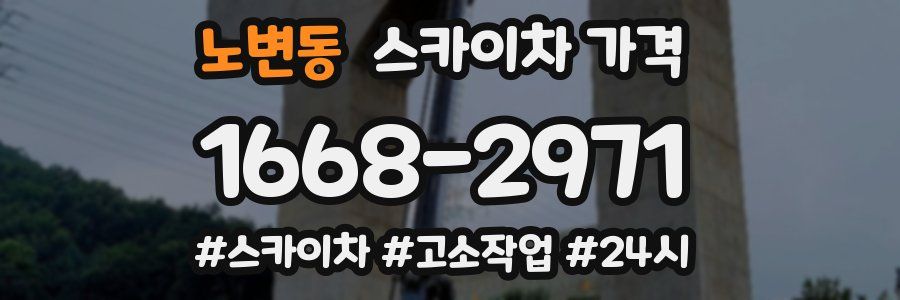 노변동 스카이차 가격